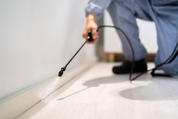 Licensed Termite Control service in Herrin, IL - Show Me Pest Control